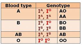 Blood groups, Hb Genotype & its Effects on Marriages
