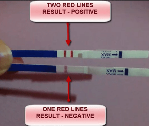 How to do Pregnancy Tests (Urine, Blood) & Costs