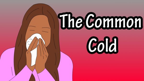 Common Cold: Causes, Symptoms, Treatment