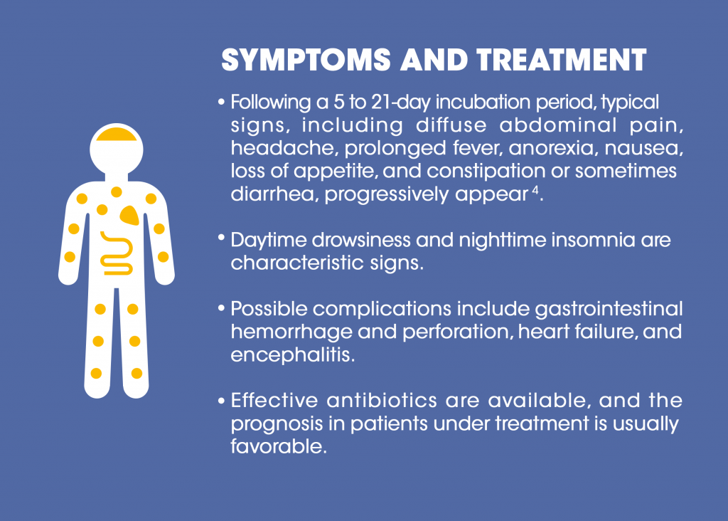 Symptoms of typhoid fever